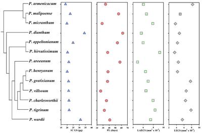 Genome Size and Labellum Epidermal Cell Size Are Evolutionarily Correlated With Floral Longevity in Paphiopedilum Species